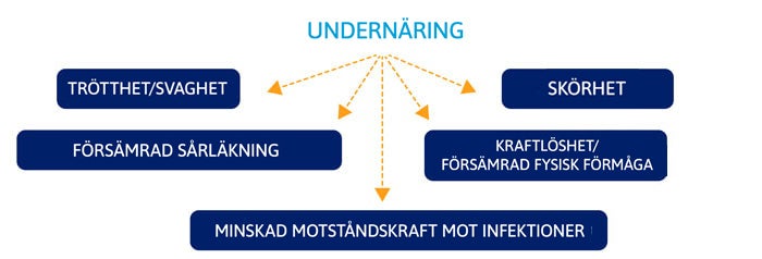 Vilka är konsekvenserna av undernäring?